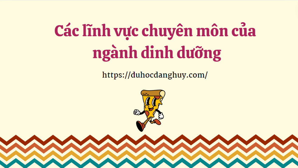 Các lĩnh vực chuyên môn của ngành dinh dưỡng