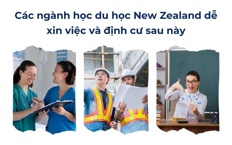 Các ngành học du học New Zealand dễ xin việc và định cư sau này