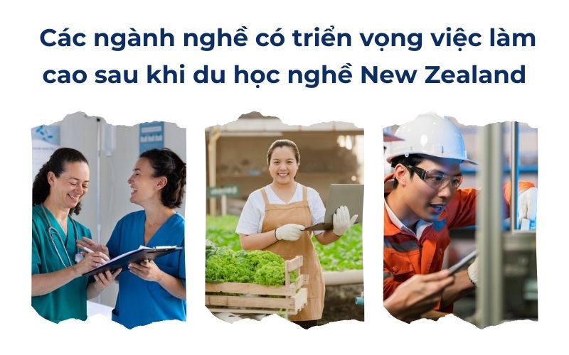 Các ngành nghề có triển vọng việc làm cao sau khi du học nghề New Zealand