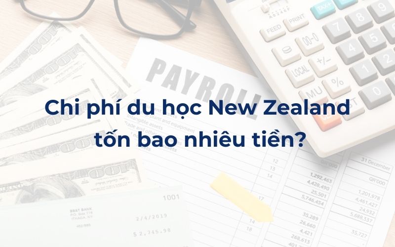 Chi phí du học New Zealand năm 2024 tốn bao nhiêu tiền?