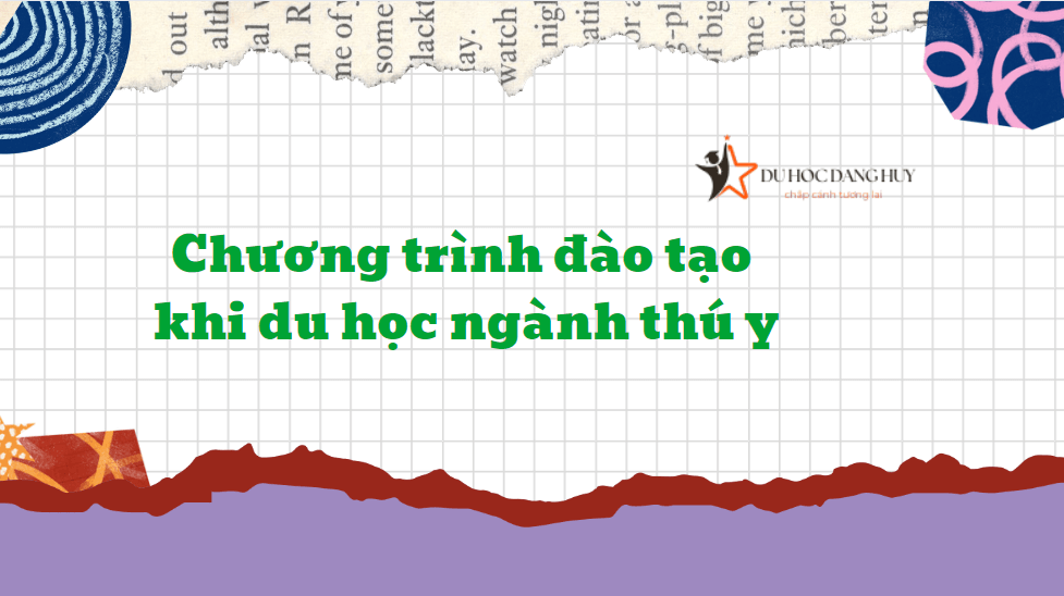 Chương trình đào tạo khi du học ngành thú y