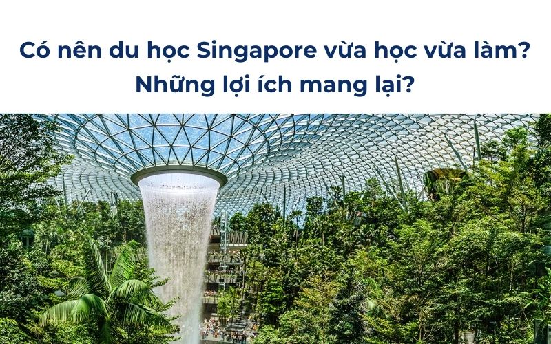 Có nên du học Singapore vừa học vừa làm? Những lợi ích mang lại?