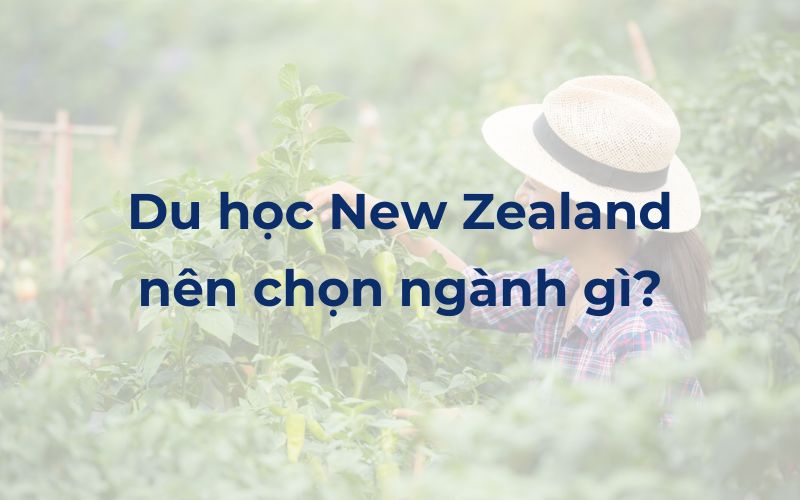 Du học New Zealand nên chọn ngành gì?