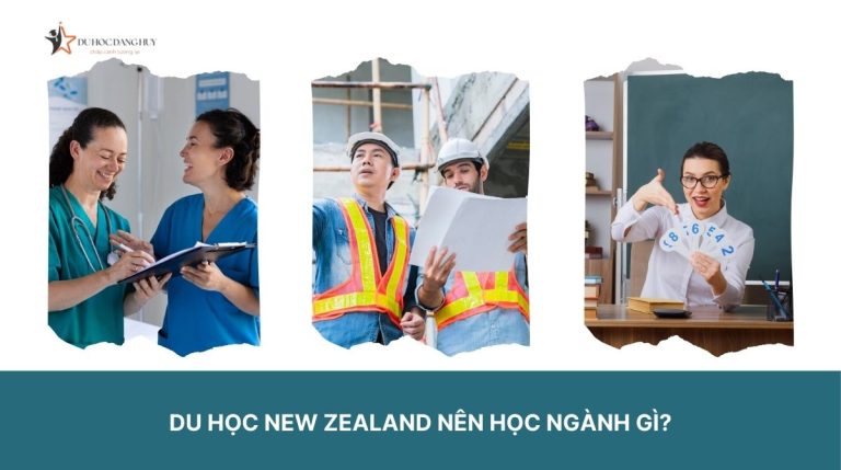 Du học New Zealand nên học ngành gì? Gợi ý các ngành học dễ xin việc và định cư sau này