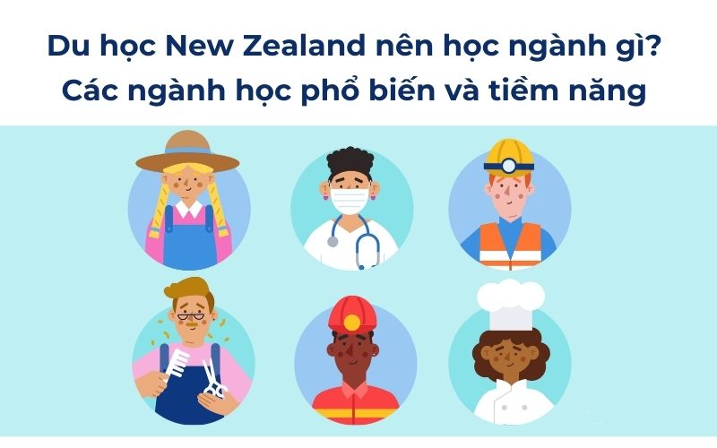 Du học New Zealand nên học ngành gì? Gợi ý một vài ngành học phổ biến và tiềm năng 