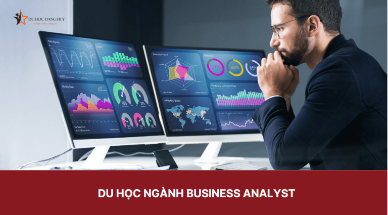 Du học ngành Business analyst – Những thông tin liên quan đến Business analyst mà bạn cần biết