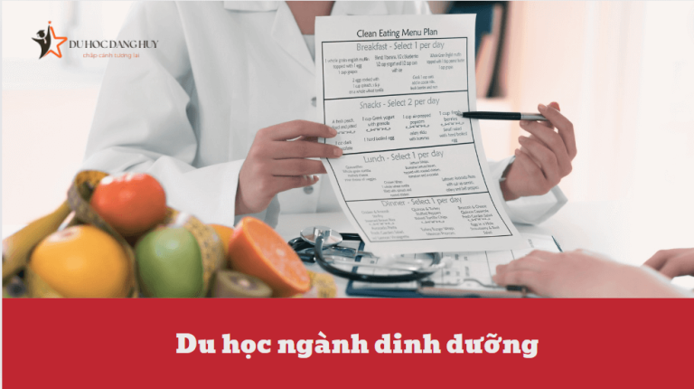 Du học ngành dinh dưỡng – Khám phá những điều thú vị tại đây nhé