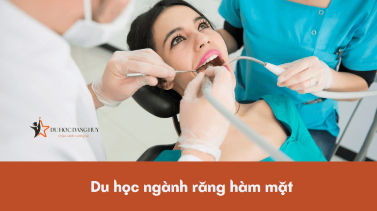 Du học ngành răng hàm mặt – Tất tần tật về những điều cần biết về ngành răng hàm mặt