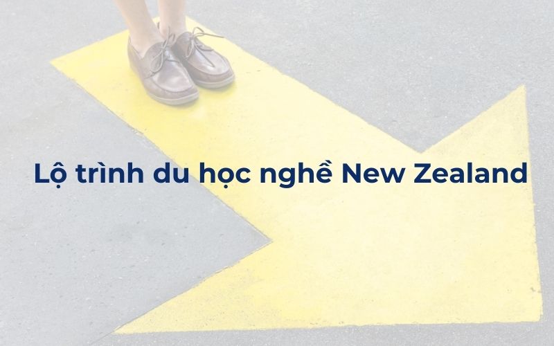 Lộ trình du học nghề New Zealand