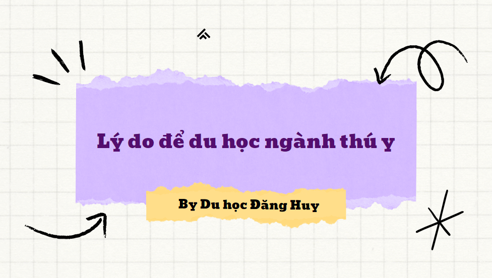 Lý do để du học ngành thú y