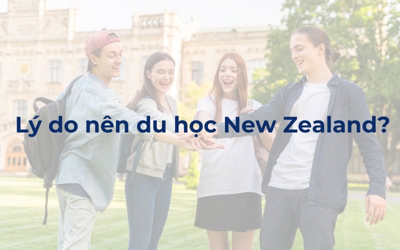 Lý do nên du học New Zealand?