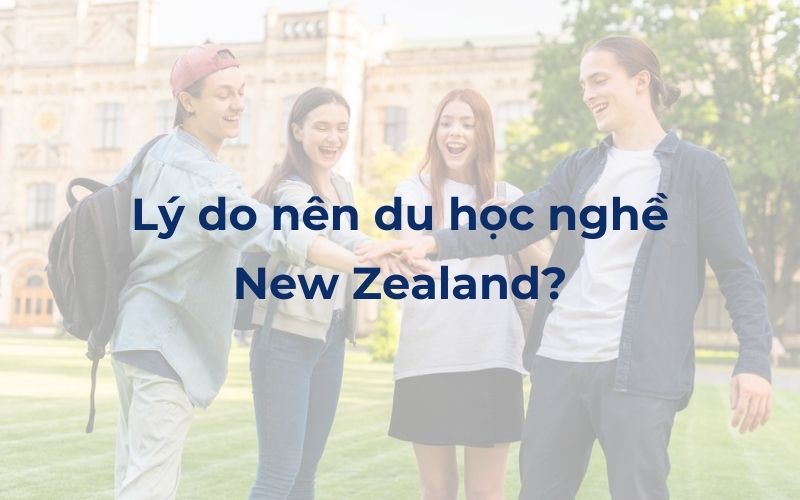 Lý do nên du học nghề New Zealand?