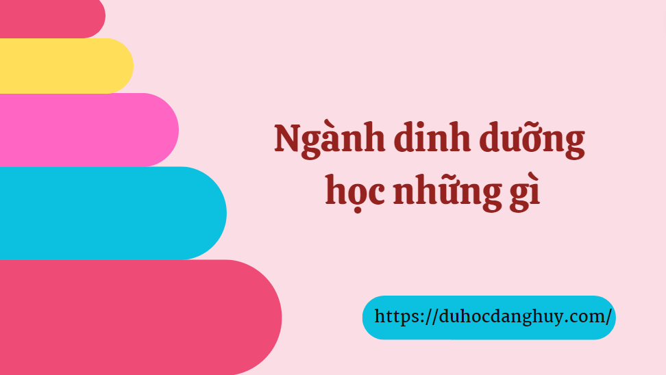 Ngành dinh dưỡng học những gì