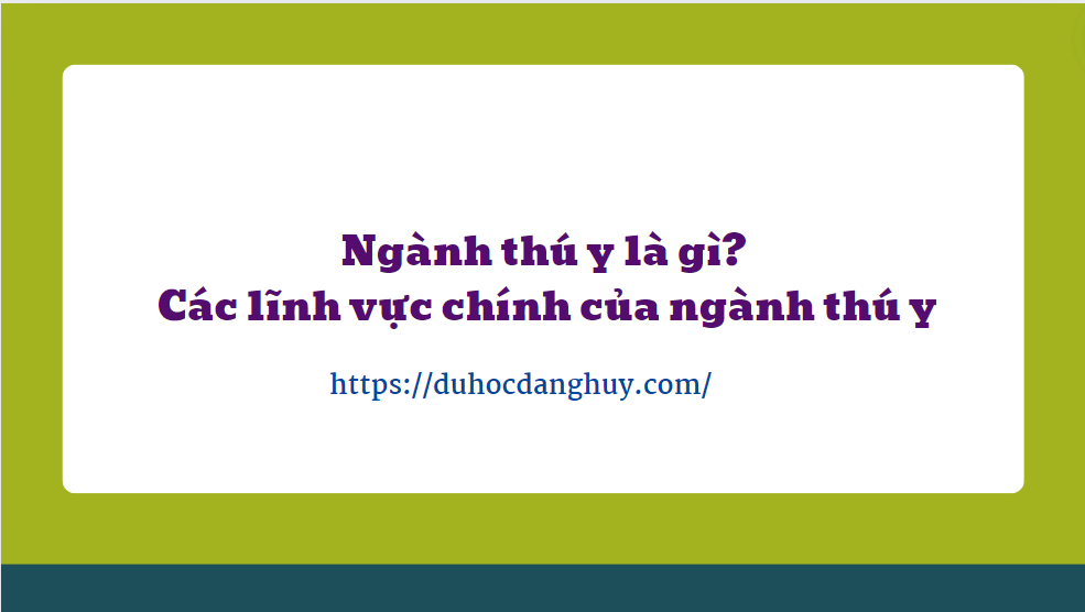 Ngành thú y là gì? Các lĩnh vực chính của ngành thú y