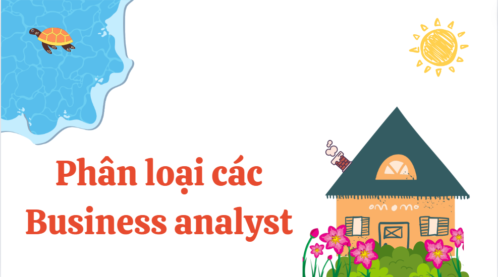 Phân loại các Business analyst