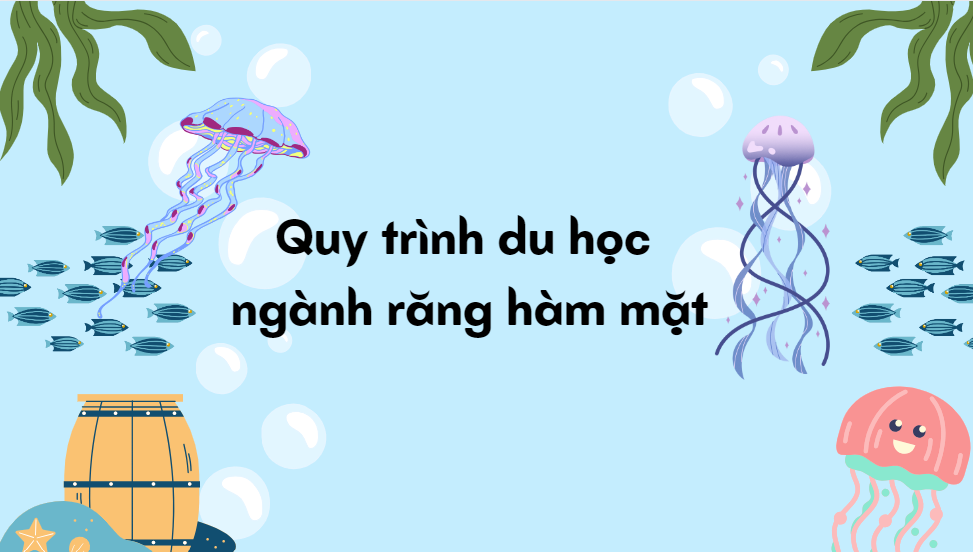 Quy trình du học ngành răng hàm mặt