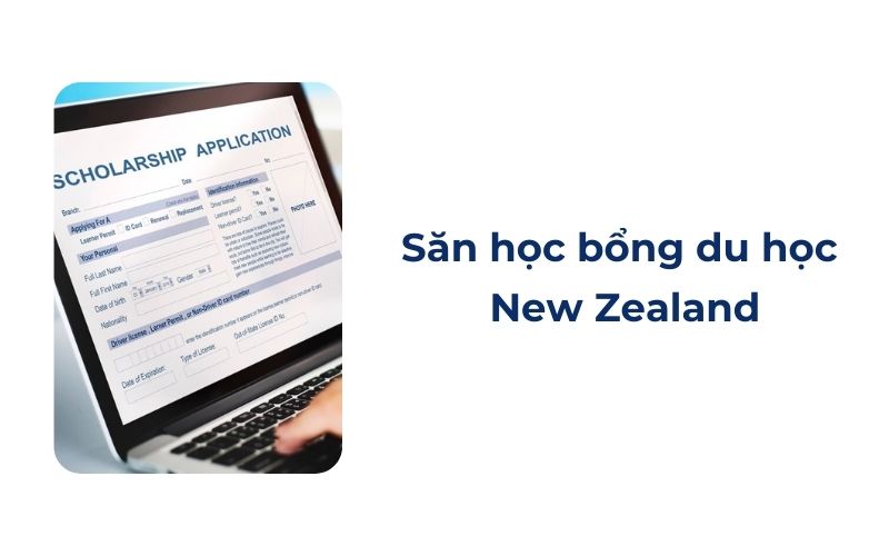  Săn học bổng du học New Zealand