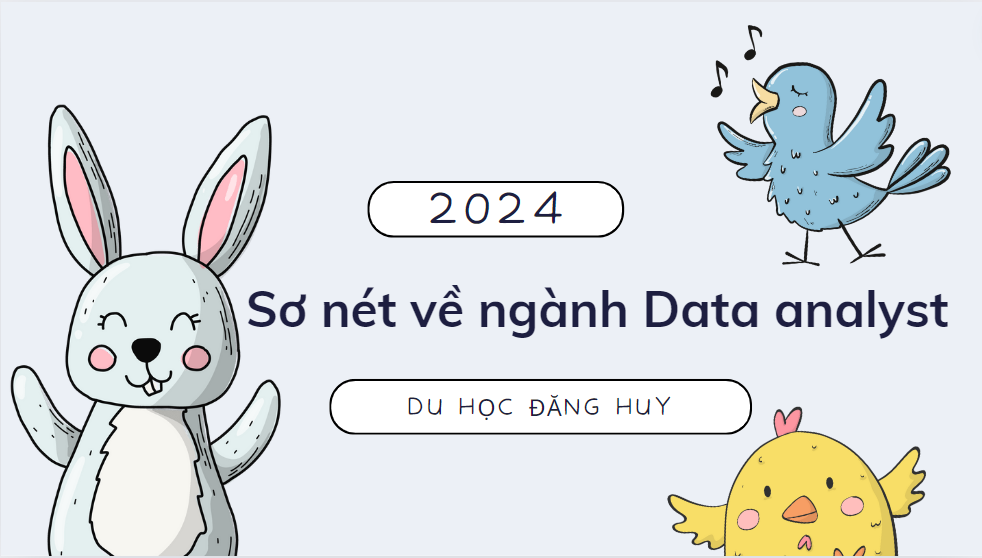 Sơ nét về ngành Data analyst 