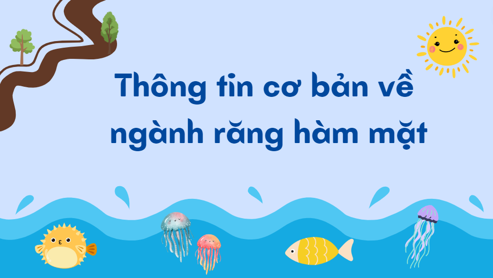 Thông tin cơ bản về ngành răng hàm mặt