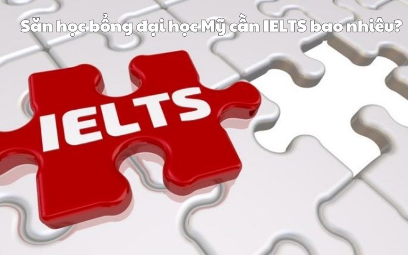 Săn học bổng đại học Mỹ cần IELTS bao nhiêu?