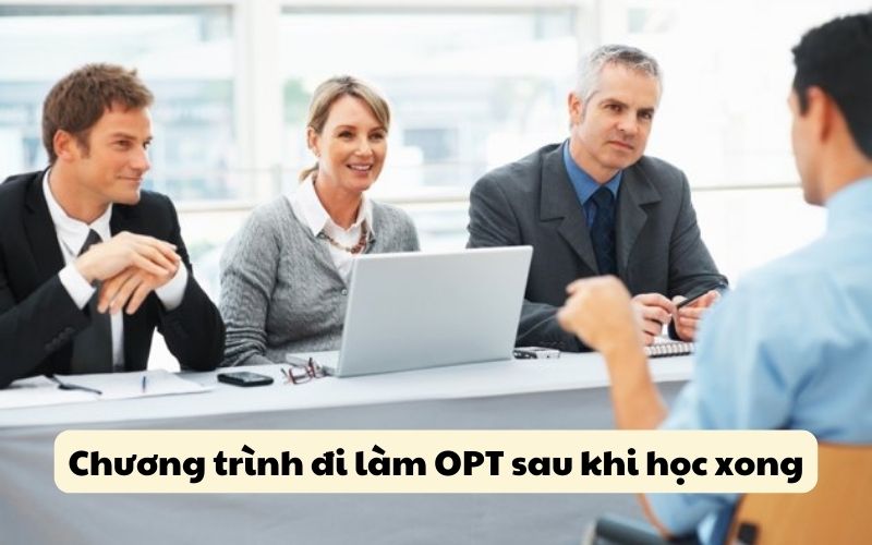 Chương trình đi làm OPT sau khi học xong