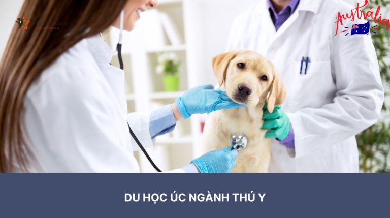 5 lý do tuyệt vời để du học ngành thú y tại Úc chắc chắn không thể bỏ qua!