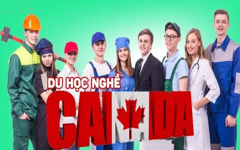 Những ngành nghề tốt khi du học Canada