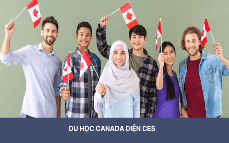 Khám phá ngay top 15+ các trường đại học hàng đầu Canada 