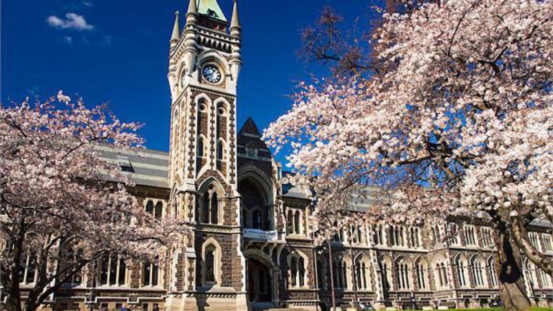   New Zealand có chi phí sinh hoạt và học phí thường rẻ hơn so với Úc