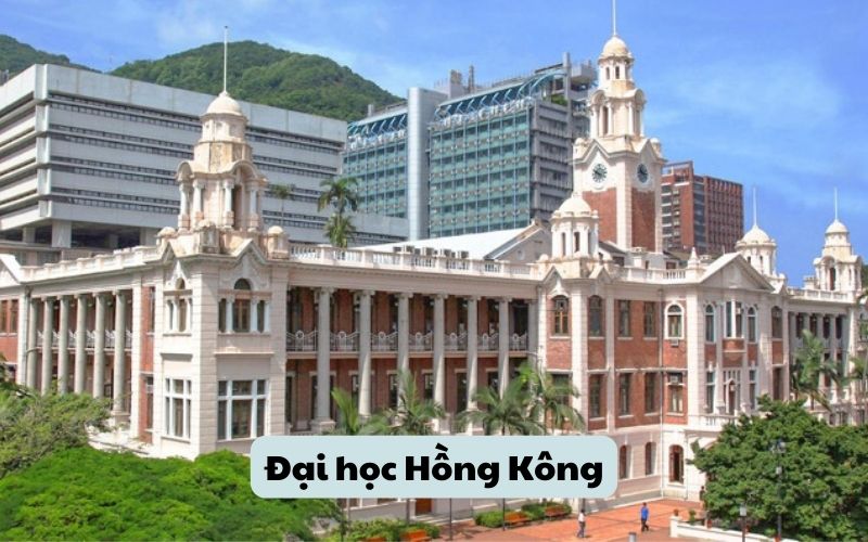 Đại học Hồng Kông