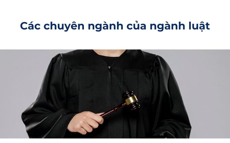 Các chuyên ngành của ngành luật