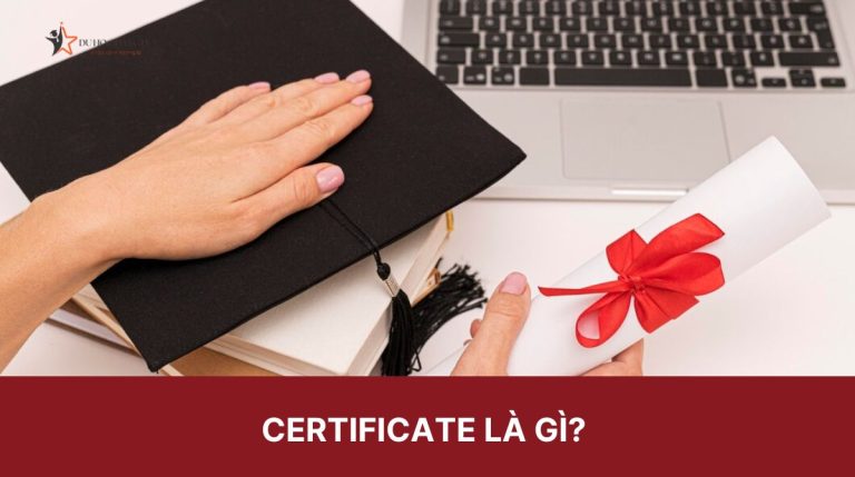 Certificate là gì? Phân biệt Degree, Diploma và Certificate nhanh chóng, bạn đã biết?