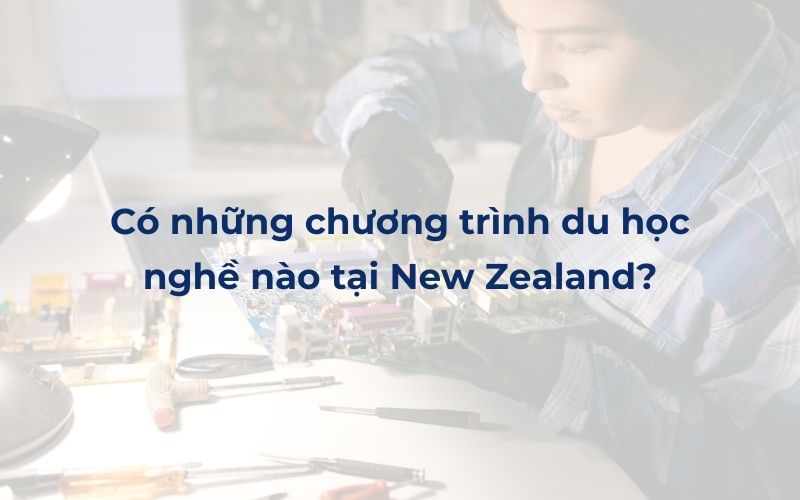 Có những chương trình du học nghề nào tại New Zealand?