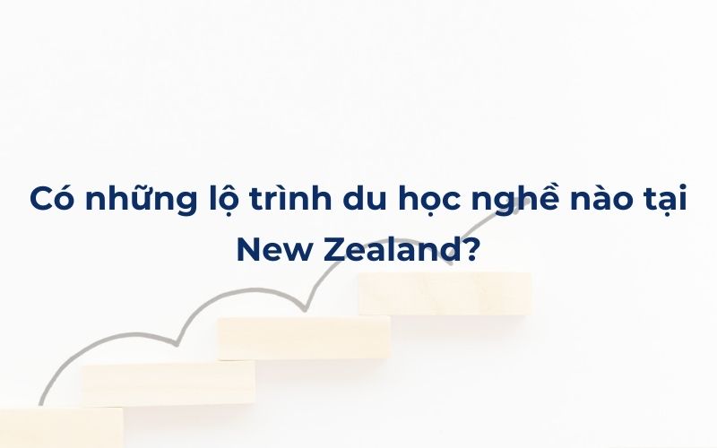 Có những lộ trình du học nghề nào tại New Zealand?