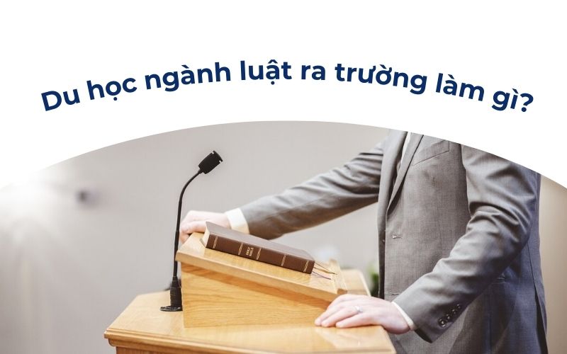 Du học ngành luật ra trường làm gì?