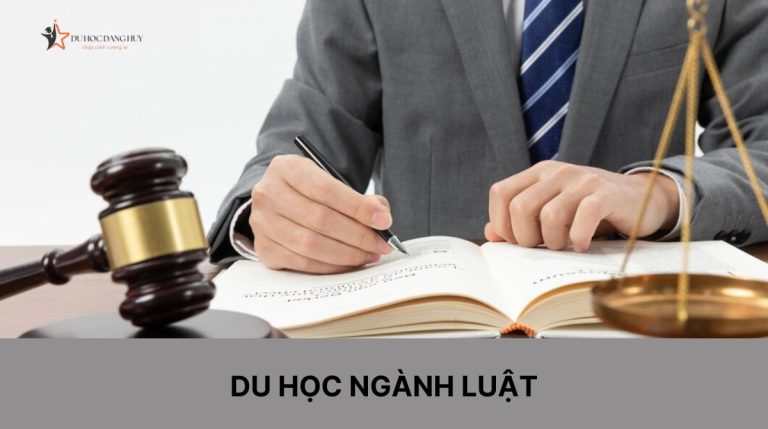 Du học ngành luật nên chọn nước nào? Tất tần tật về du học ngành luật mà bạn cần biết