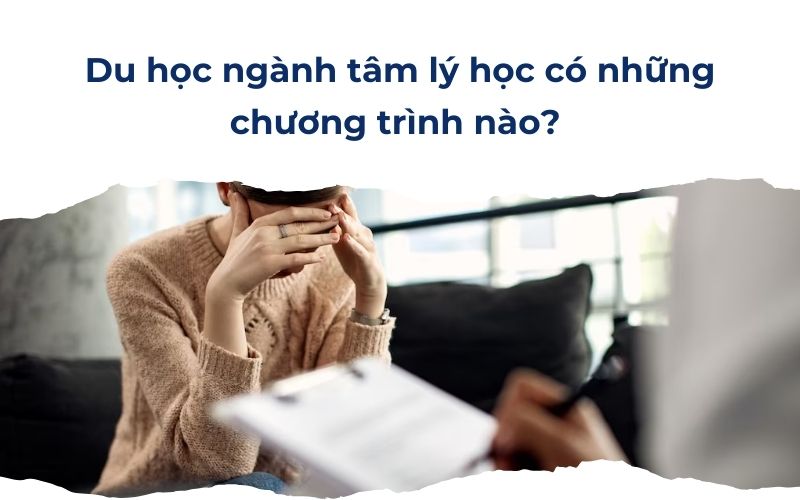 Du học ngành tâm lý học có những chương trình nào? 