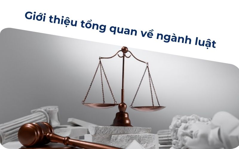 Giới thiệu tổng quan về ngành luật