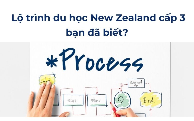  Lộ trình du học New Zealand cấp 3 bạn đã biết?