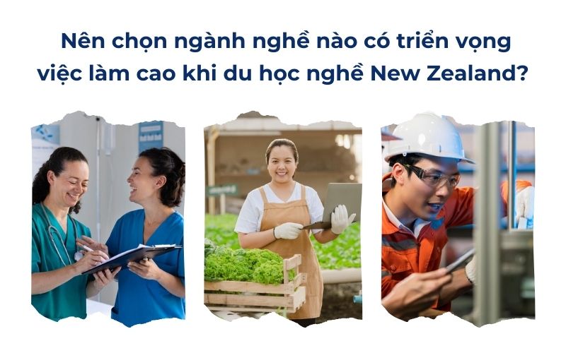 Nên chọn ngành nghề nào có triển vọng việc làm cao khi du học nghề New Zealand?