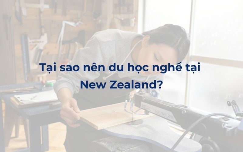 Tại sao nên du học nghề tại New Zealand?