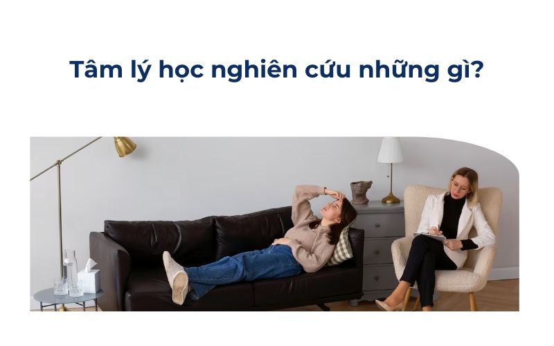 Tâm lý học nghiên cứu những gì?