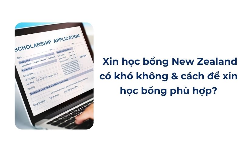 Xin học bổng New Zealand có khó không và cách để xin học bổng phù hợp?