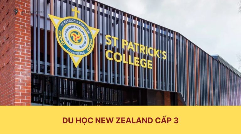 Có nên du học New Zealand cấp 3? Tất tần tật về du học New Zealand cấp 3 từ A-Z 