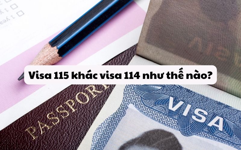 Visa 115 khác visa 114 như thế nào?