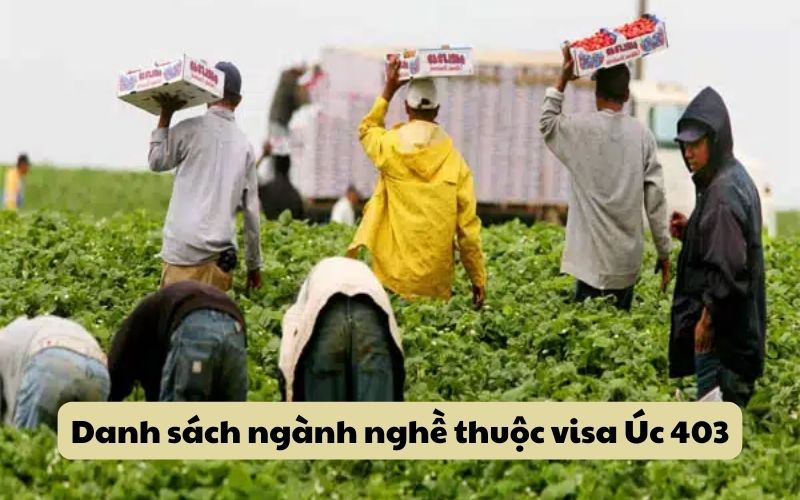 Danh sách ngành nghề thuộc visa Úc 403